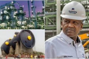 Aliko Dangote Biography