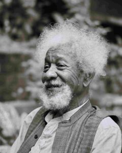 Wole Soyinka Biography