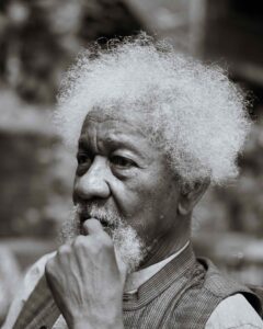 Wole Soyinka Biography