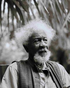 Wole Soyinka Biography